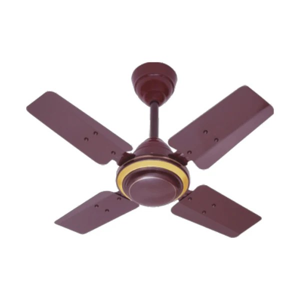electric ceiling fan